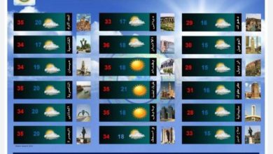 FBF69E72 FE64 402B 9DDF F492B4D62675