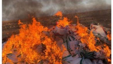 IMG 20200429 183106 360