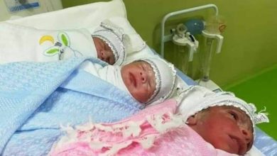 IMG 20200430 223023 099