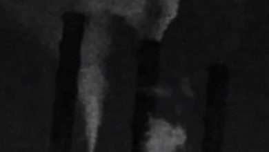 IMG ٢٠٢٠٠٤٢٠ ٠٩٥٣٣٠