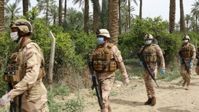 IMG ٢٠٢٠٠٤٢٥ ٢١٤٢٤٦