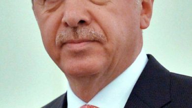 Recep Tayyip Erdoğan June 2015