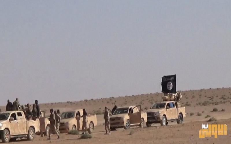 مصدر: جزيرة الكرمة تضم مضافات لداعش تهدد القوات الأمنية والمواطنين 1 داعش 1 1