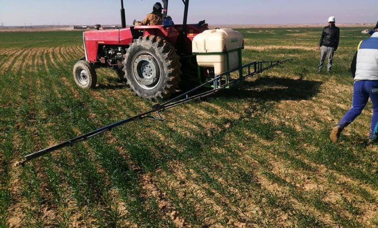 زراعة الانبار3