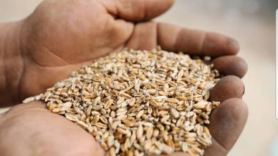 ٢٠٢٠٠٤٠٤ ١٦٤٤١٣ 1