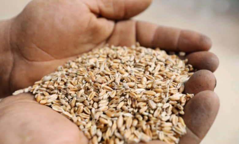 ٢٠٢٠٠٤٠٤ ١٦٤٤١٣ 1