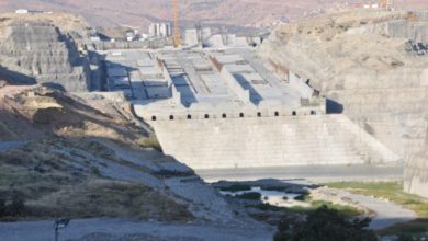 00276513 EA7C 4EC1 A4A5 1BC1DCE6CF17