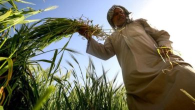 08FE61D7 A217 47F3 BFB8 5D5A3A23D9A5