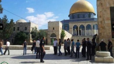 0A070F3D F46A 49FE BDC7 F4A80789D964