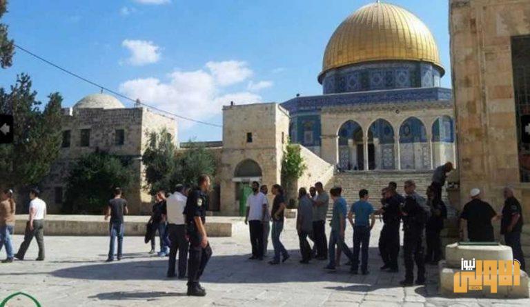 دعوات للتحشد وأداء الصلاة بالأقصى بدءا من فجر الغد 1 0A070F3D F46A 49FE BDC7 F4A80789D964