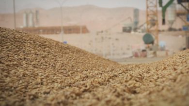 101F9B72 276C 483E AD55 DEA6AF023BC9