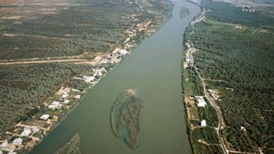 11394227 A2C6 4EFE BF54 EE15D70DA12C