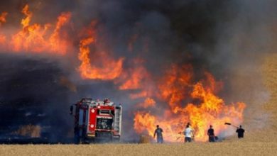 120437D2 982C 4686 966A E5B8E8F099E3