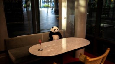 154 194255 panda doll restaurant social divergence 700x400