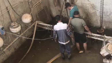 1C7E0CEC 0220 4C1C AA2A 1A8968E7E2E0