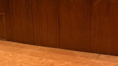 1E5425D9 8E75 4B54 A5E2 C8209DAE115A