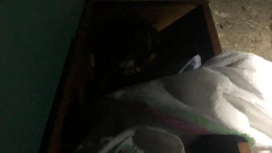 1ed14ce1fda0cc5e5b38b678a6edd198