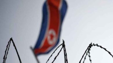 245BAC1D 8AEE 4FA7 80C3 186E4329D08D