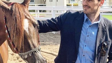 278BBEEF F759 4F95 85FE 22D721D274DF