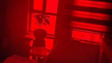 2BFAA6AD FC81 4145 A472 EFCA426D874E