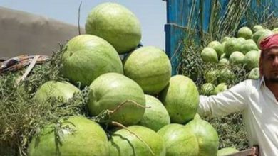 339CA066 A880 46FF A39C 424930A30B90