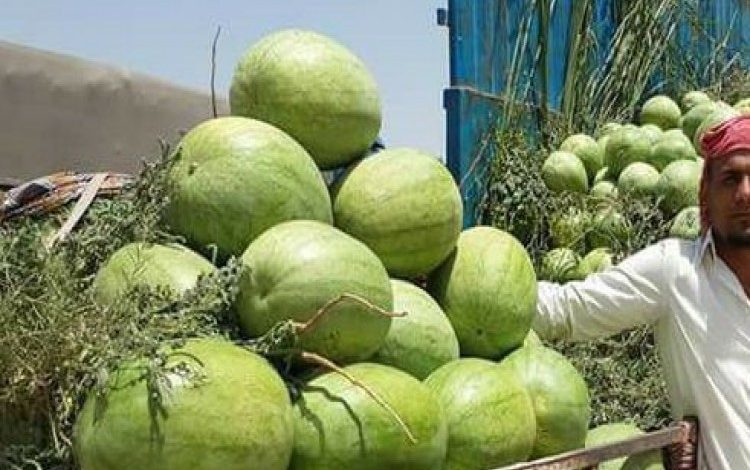 339CA066 A880 46FF A39C 424930A30B90