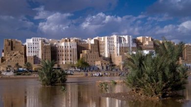 متلازمة النفط والإخوان.. حضرموت على رادار قطر- تركيا التخريبي 5 39BE0FB3 1C4E 4B79 B8B4 DA11704A55B0