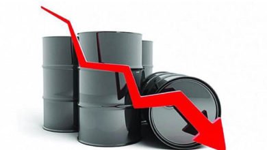 45B4C494 526C 4930 91F9 63FCC522887D