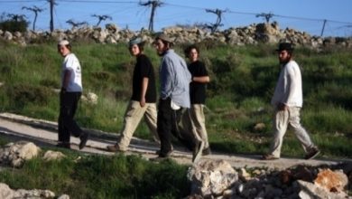 47263264 8669 47B6 A1DD 77FC44CEA9E5