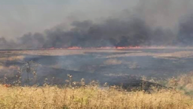 498C67E8 4AEE 4665 92C6 B6CD1B2B15E0