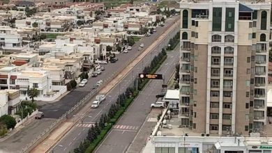 4CBA02D5 FB4D 4DFA 9832 30CFC2BEEFC7