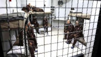 53F8DB7D 1C65 4449 9C35 822D47F412CA