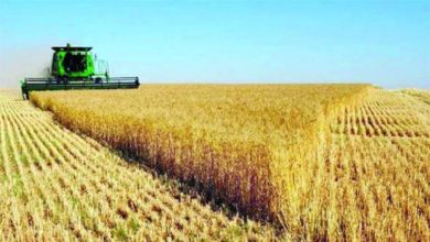 54FC8EC5 67DD 46F9 8AD1 873F5C6A63D5