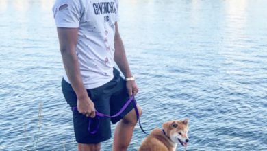 5CC00590 9120 4E28 8242 B19E7642DAE2