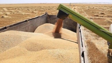 6324D34C 0DD0 4A61 BC0C 0A1693E217AA