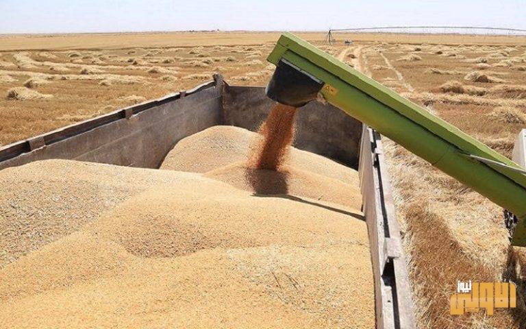 تجارة الحبوب في كربلاء تعلن استلام 3 الاف طن يوميا من الحنطة الكترونيا 1 6324D34C 0DD0 4A61 BC0C 0A1693E217AA