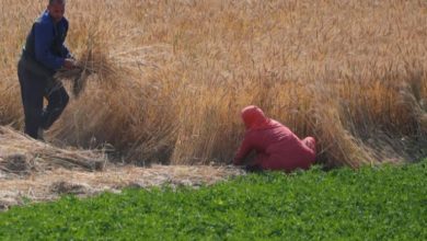 64E92A95 CAA1 45E0 AEF3 37148DA02316