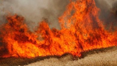 68F9CB8F FDDC 44D3 8437 981ADB54485F