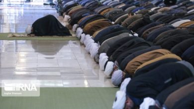 6A55B663 296A 4E75 B3A5 4EA8D5AC765C