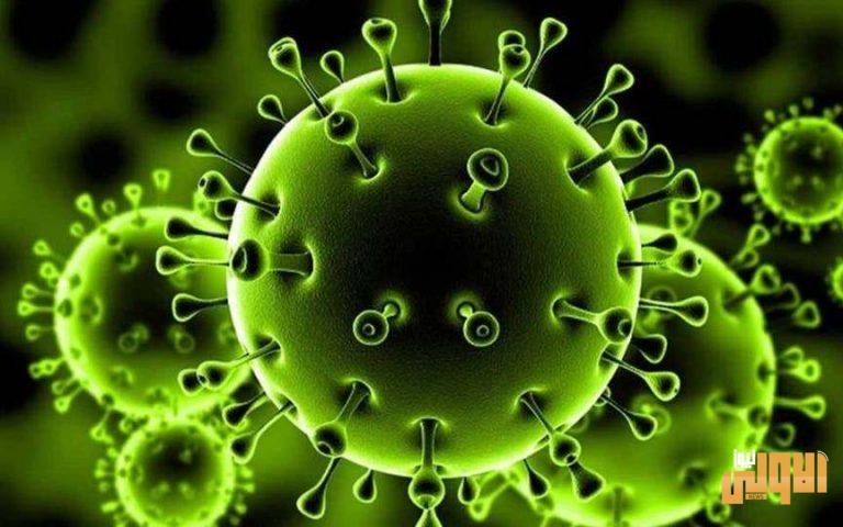 تركيا تسجل 983 إصابة و26 وفاة جديدة بفيروس كورونا وشفاء1021 حالة 1 6BFE24F8 BAEA 482D B07B 05F82F02D666