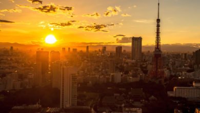 6C6A74D1 E87A 48F9 9BB6 C70EEBF3BB62