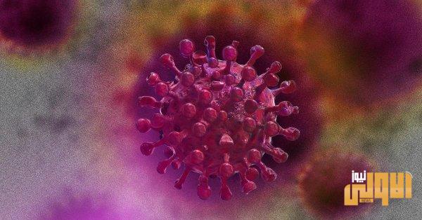 أكثر من ألف حالة وفاة بكورونا في البرازيل خلال 24 ساعة 1 6D5F1273 88DD 4FA1 B403 AF036001F912