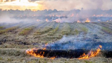 6F37D6CB DEFD 4AAA 8E4C DD47A81357F2