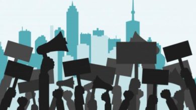 802BDD1E 8886 4CFF A581 6274092D0C7E