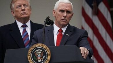 81C68D01 DFD0 4021 8AAB 11784E9D9238