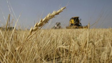 82BBB050 30AC 4225 82A3 47E65264FA4D