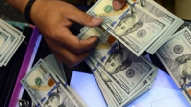 8e6749f6a70ebffced805c1bde1ce028