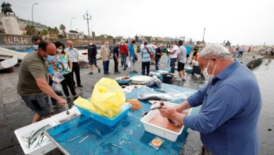 920C79E1 284F 4915 A365 28E77687F5AB