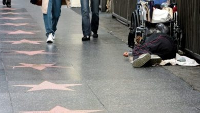 93FD2FE6 D249 44E2 9D93 B9256B90455D