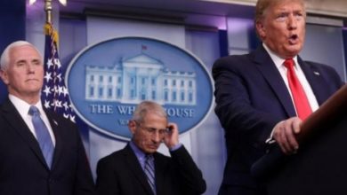 9FE9693D ABA5 4C74 BD9D 8305EAEDB91B